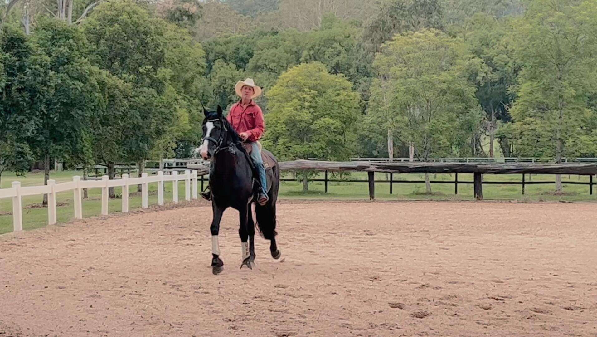 Nice little Australia Day outing for Tiernan Ri with our wonderful horseman Larry.