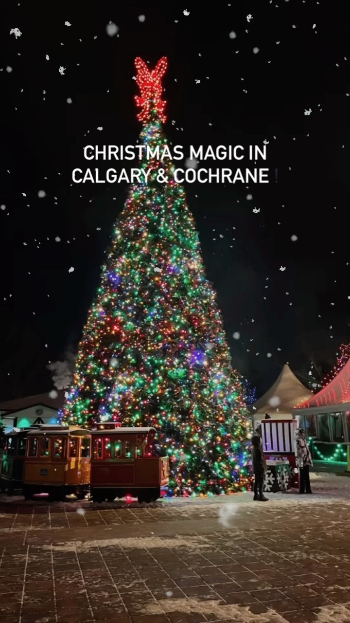 ✨ Embracing the enchantment of Christmas in Calgary & Cochrane! 🎄✨ From twinkling lights to festive festivities, there’s something magical around every corner.
What’s your absolute favorite part of the holiday season? Share below 🎄
#HolidayMagic #CalgaryChristmas #CochraneCheer #yycliving #cochrane #christmastime