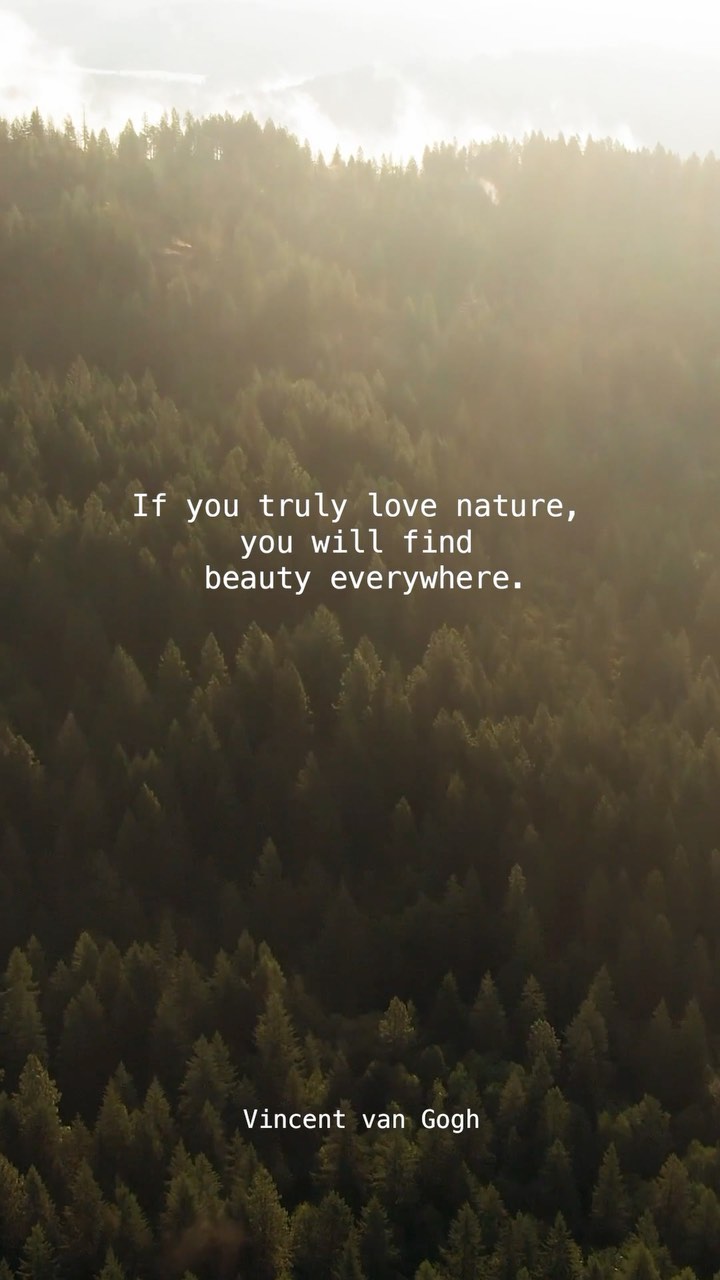 Montegro believes that if one has a deep affection for nature, beauty reveals itself everywhere. In each of our designs, we aim to capture and reflect the inspirational beauty found in nature. 🍃🌿