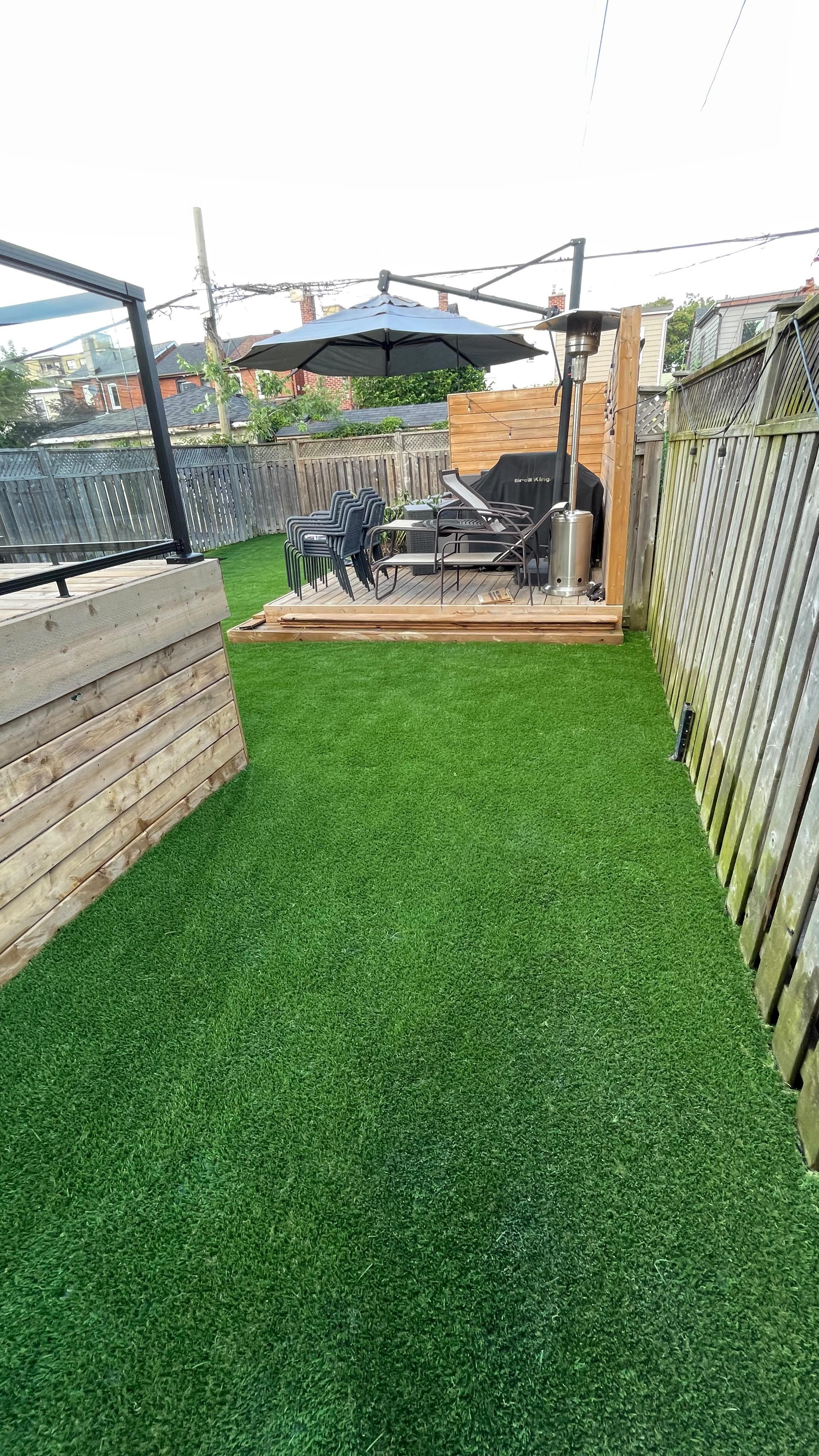 Perfect grass 365 days a year✨🌱 #nevermowagain
