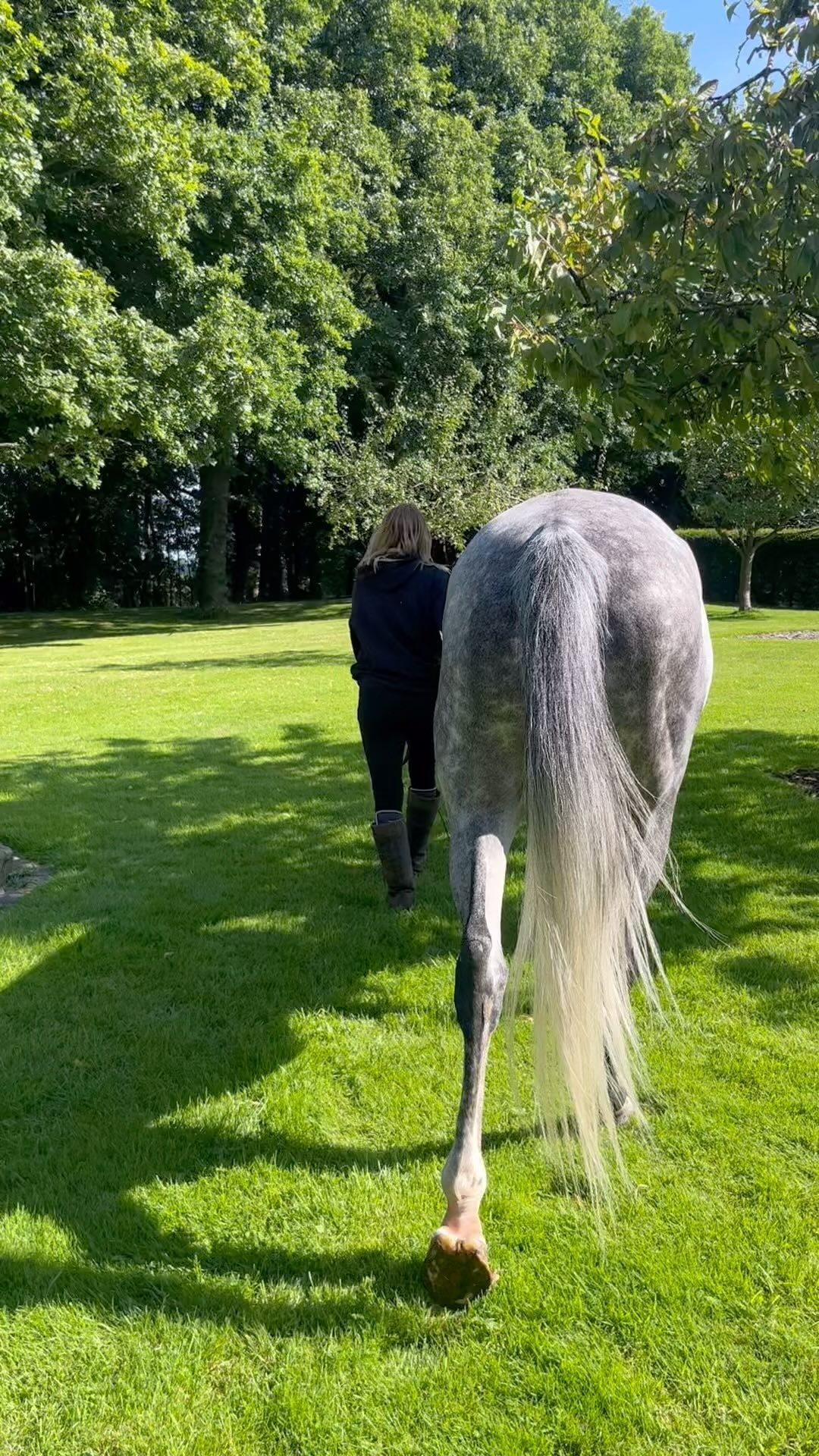 Life at NP Vet Physio lately ๐
#npvetphysio #vetphysio #equinephysio #caninephysio #horsesofinstagram #dogsofinstagram #caninearthritis #ruralbusiness #veterinaryphysiotherapy #caninerehabtherapy #caninerehab #equinetherapy