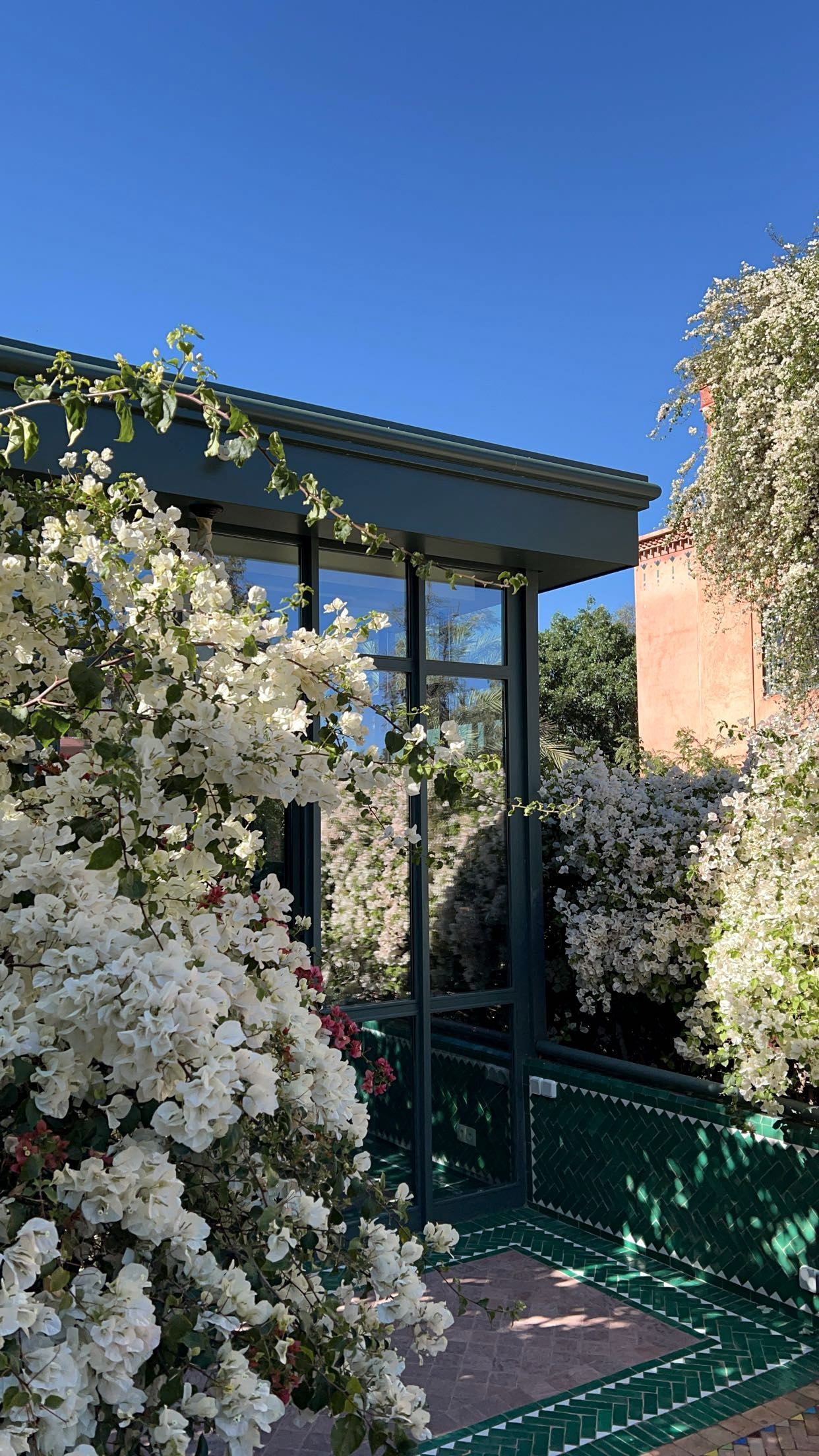 The kind of vibes you need right now ✨
#darrhizlane #marrakech #luxurytravel #visitmarrakech #marrakechtravel #riadmarrakech #forbestravelguide