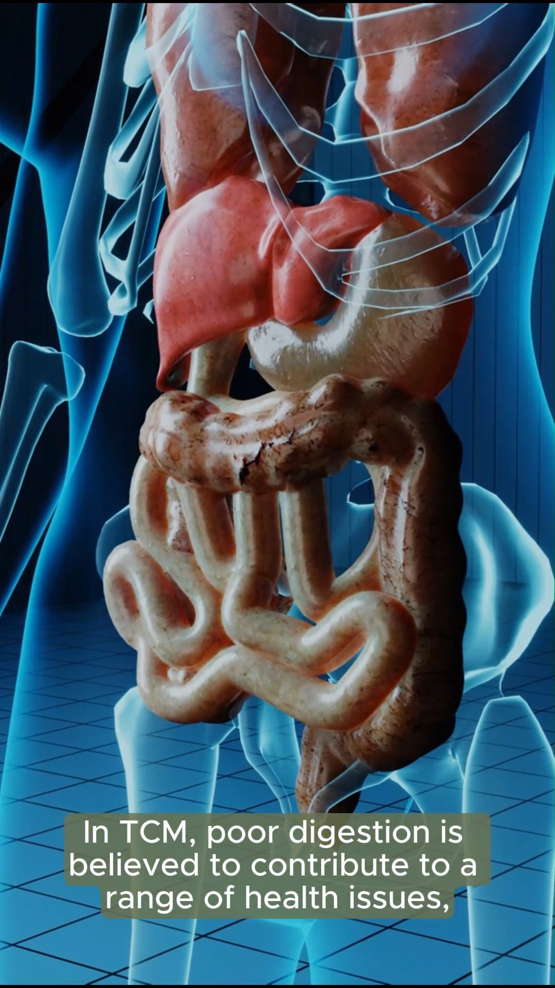 Struggling with bloating, acid reflux, or fatigue? In Traditional Chinese Medicine, we believe poor digestion is the root cause of many health issues, from skin problems to respiratory discomfort. By addressing the core imbalances through acupuncture, herbs, and personalized diet plans, we help your body absorb nutrients naturally and heal from within.
Experience holistic healing at Health Traditional Medicine
📍Visit us at One Commonwealth, Commonwealth Lane, Singapore.
#digestivehealthmatters #TCMHealing #holisticwellnesspractitioner #Acupuncture #GutHealth #NaturalHealingJourney #BalanceYourBody #TraditionalChineseMedicine #WellnessJourney #tcmsingapore