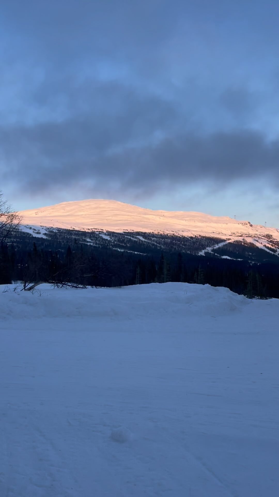 Vi har öppet 11.00-15.00