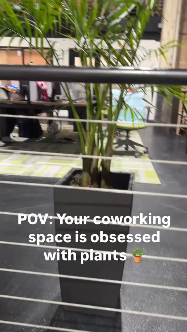 POV: Your coworking space is obsessed with plants 🪴