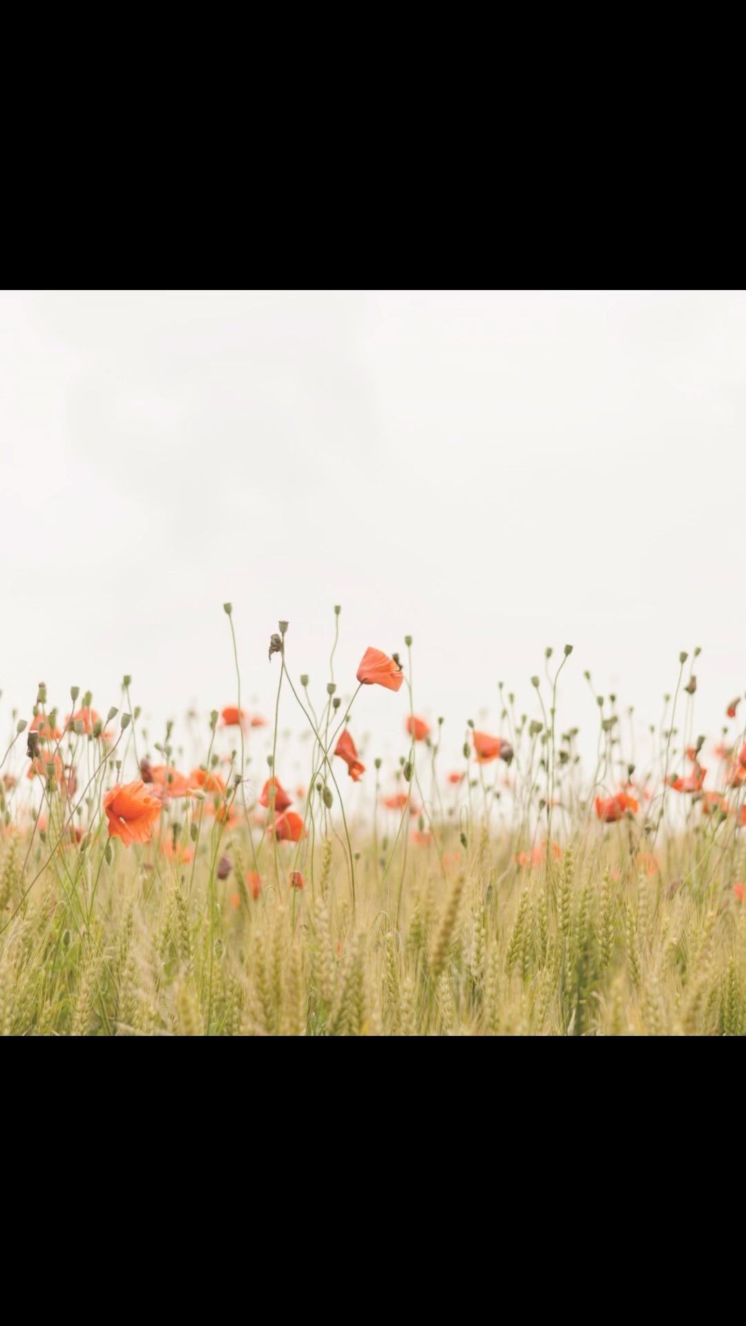 Rejoignez nous au Festin Neuchâtelois le 10 mars 🤩 Venez assouvir vos papilles et éveiller vos sens dans une ambiance chaleureuse et gourmande.
Expérience inoubliable garantie 🤩