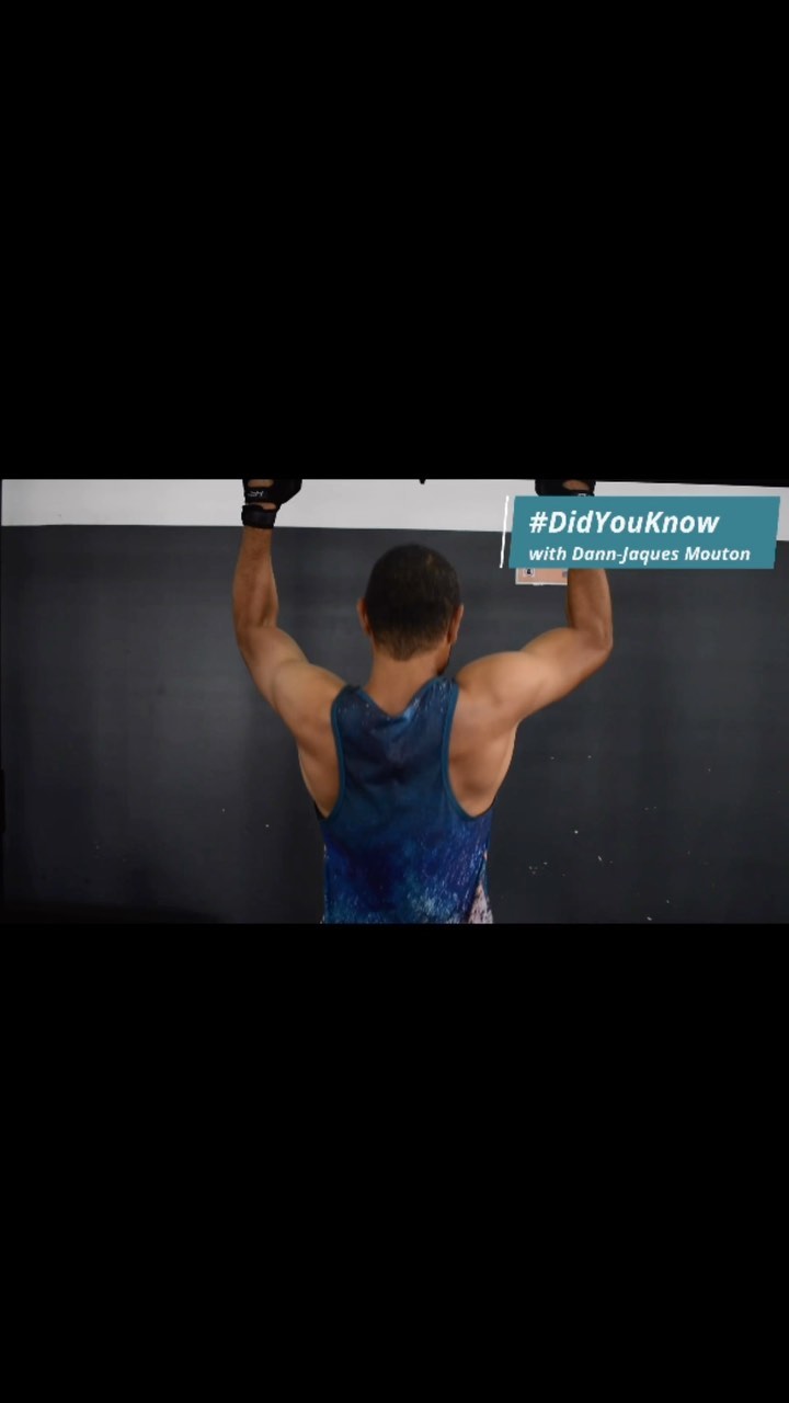 The benefits of the Pull-up illustrated by Dann-Jacques Mouton (7de Laan) ๐ช๐ฝ๐
โข
โข
โข
#gymtime #gymlife #workout #training #sport #muscle #gym #fitnesstraining #bodyfuturegym #capetownfit #capetownfitness