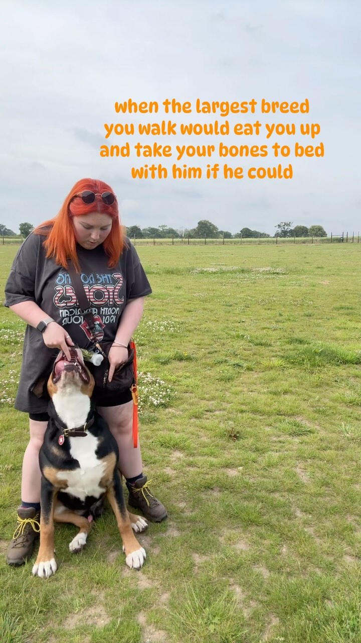 He just loves me a little too much 😂.
.
.
.
.
#dog_features #dogsofinstaworld #dogs_of_instagram #dogoftheday #dogsofinstagram #dogstagram #doglover #dog #dogs #doggy #doggo #doge #doggies #doggie #cute #dogwalker #dogwalking #norwichdogwalker #dogwalkernorwich #norwich #norfolk #dogpark