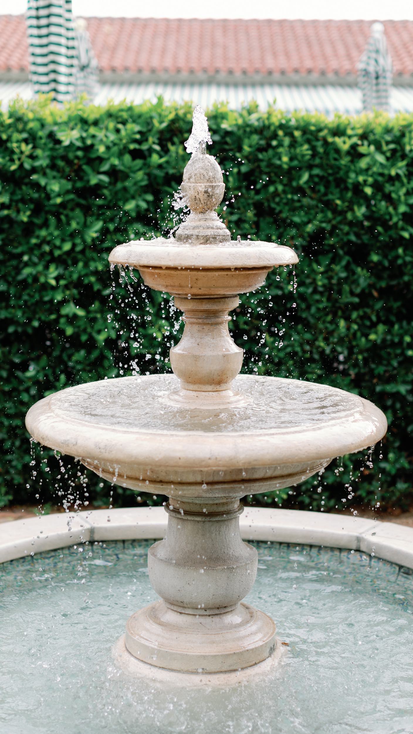 A Tuscan inspired wedding nestled in the hills of Santa Cruz, California 🌿
This day was a dream to curate & design with our talented vendor team. #summerinitaly #weddinginspiration #californiawedding #santacruzcalifornia