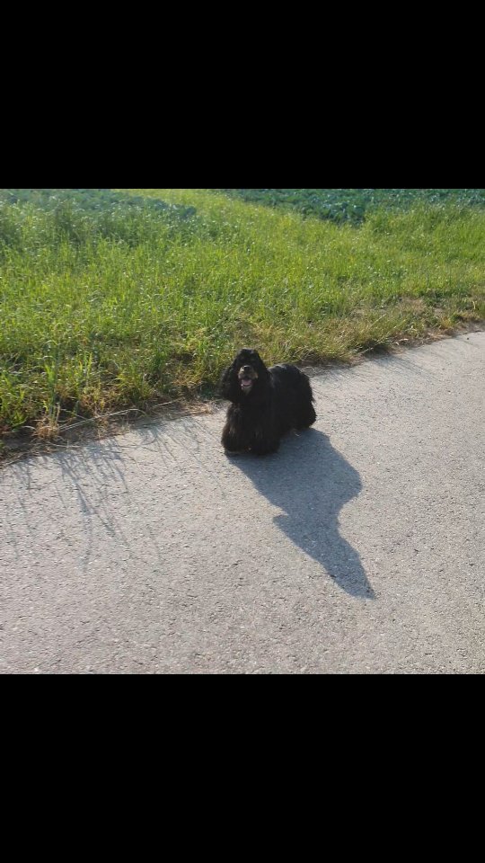 Bauch fast am Boden, aber Finja ist immer noch ziemlich fit.