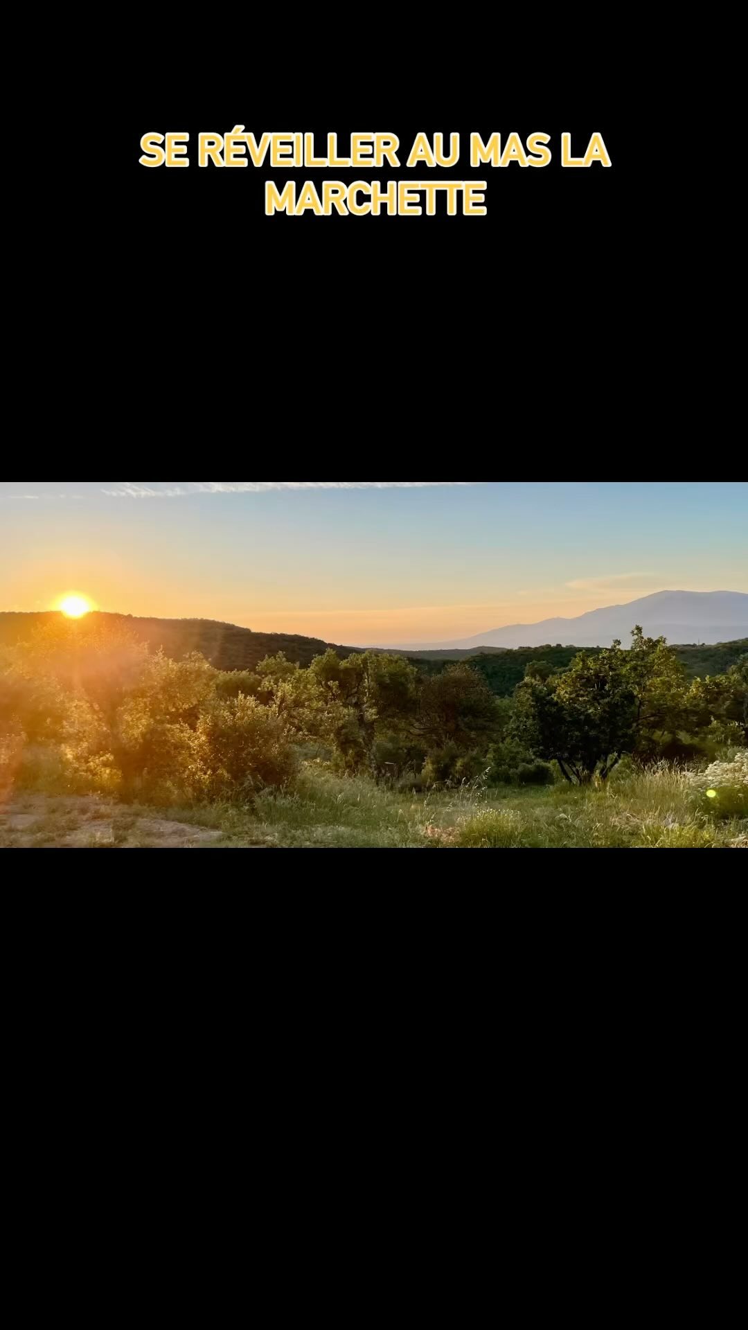 Venez vous réveiller au rythme du soleil en pleine nature au son des oiseaux avec nos deux chats pour guide. Choisissez l’espace qui vous convient pour déguster votre petit déjeuner et profiter du temps présent. Benvinguts au Mas la Marchette.#chambredhotesdecharme #nature #catalogne #catalunya #tourism #tourisme66 #pyreneesorientales #tabledhotes #lieuatypique #detente