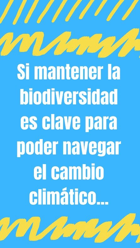 Otra claro ejemplo de esta disonancia es decir amar a los animales y luego comérselo, ¿o tú que piensas?
.
.
.
#animalesendesastres #iad #iadlatam #inclusionanimalendesastres #inclusionanimal #cuidadoanimal #ningunanimalsequedaatras #animal #animallovers #animals #amor #ayuda #proteccion #conservacion #educacion #desastres #desastresnaturales #latina #cambioclimatico #refugioanimal #santuarioanimal #caribe #petsofinstagram #plandemergencias #americalatina