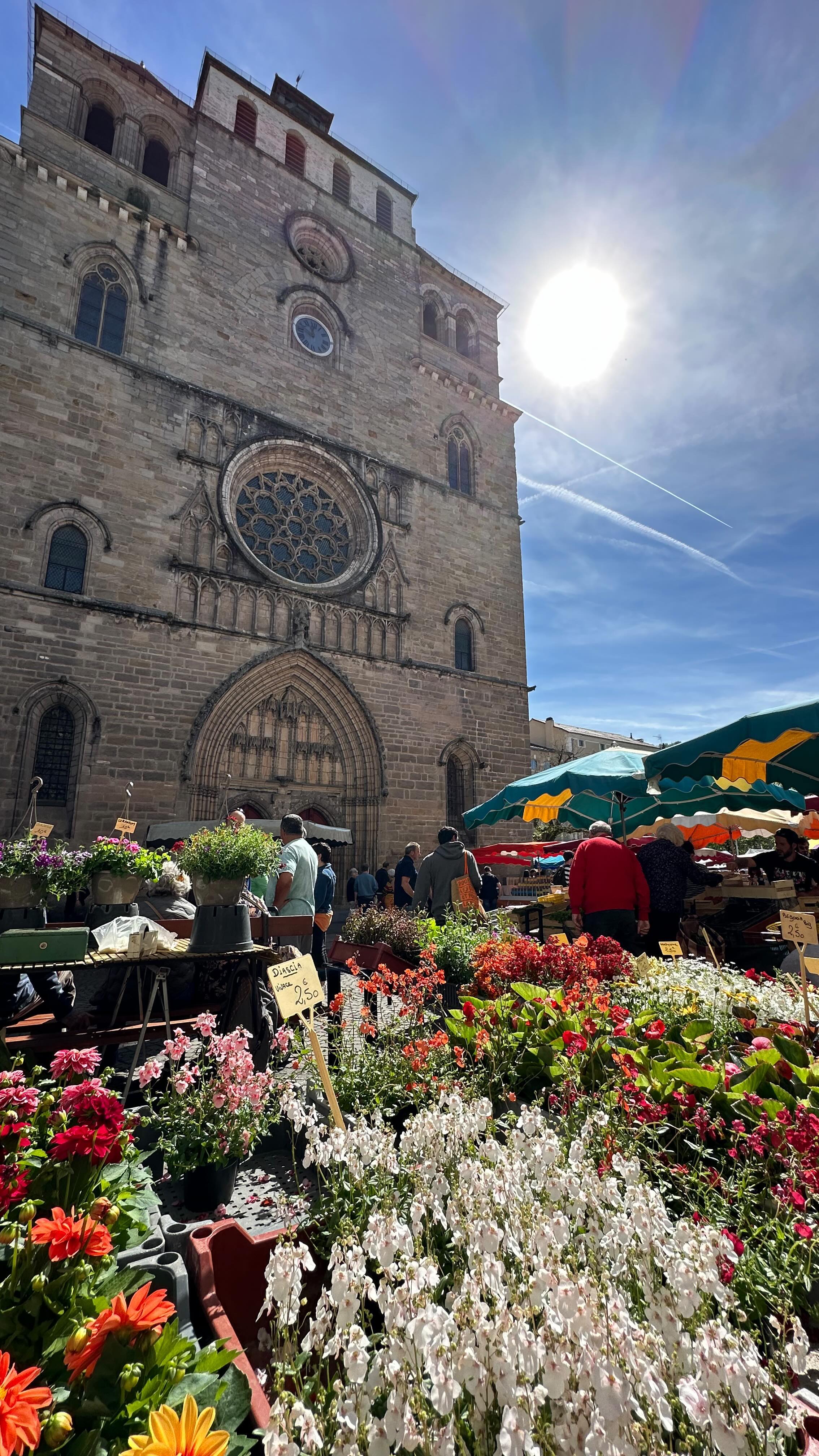 La saison des concerts du marché de la Cathédrale de Cahors est arrivée!!! Retrouvez plus d’info et les programmes sur notre page Insta ou sur le site officiel de l’orgue de Cahors (lien dans la bio)!!! .
.
.
.
.
.
.
.
#orgue #organ #cathedral #cathedrale #departementdulot #cahors #villedecahors #musiqueclassique #paroisses #concert