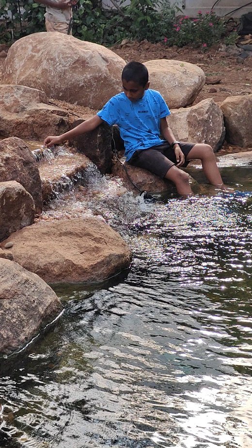 Recreational swimming ponds are unique and blend with the garden .