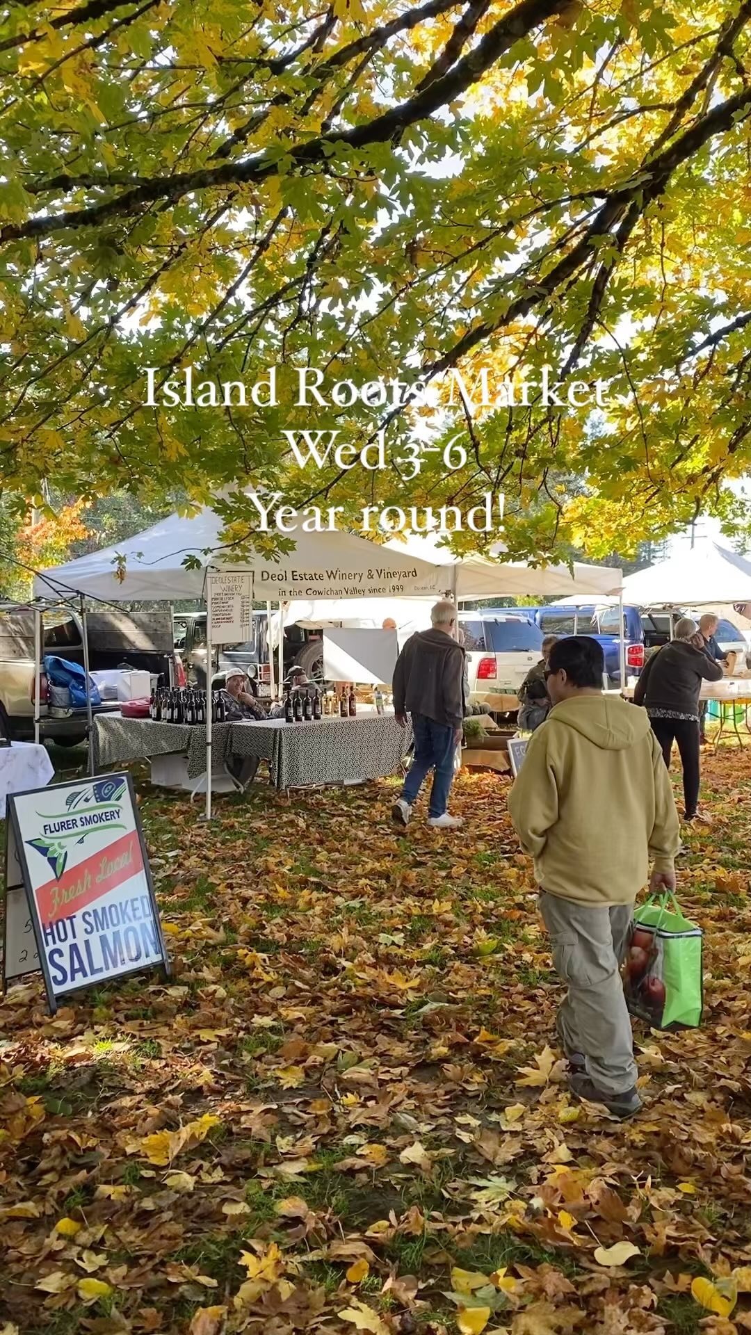 Island Roots Market moves out of the field and into the Centennial building next week for the Fall/Winter season.