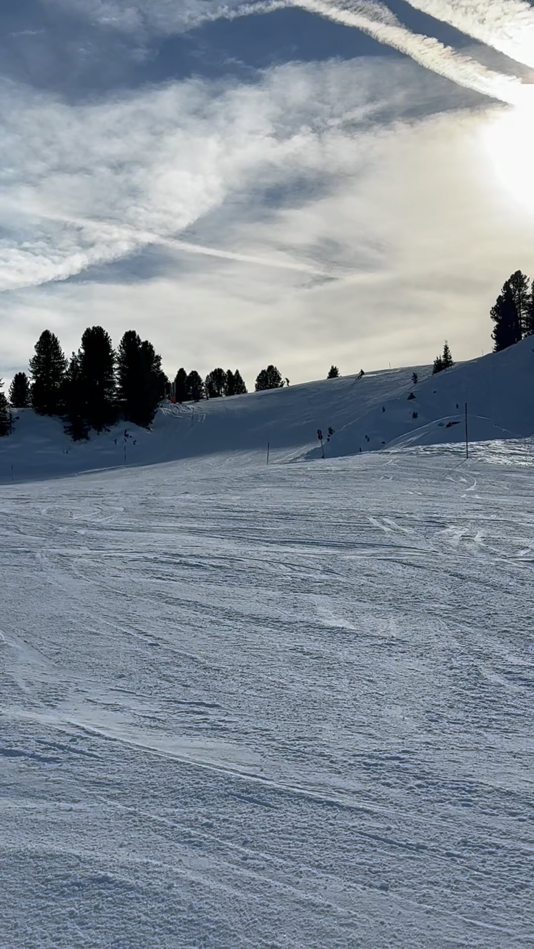 I always wonder why people do ski and i am sill wondering 🤔 #but anyway how others do and how i do 🤣🤣⛷️🎿🎄still surviving😜God please keep me safe 🙃🙃#skivaction23#zellertall