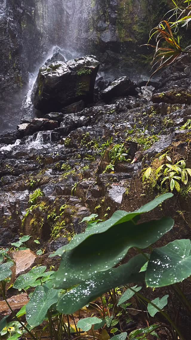 🧘🏽♂️🧘🏻♀️😮💨😮💨😮💨🌿
Quem também respira fundo quando está na natureza?