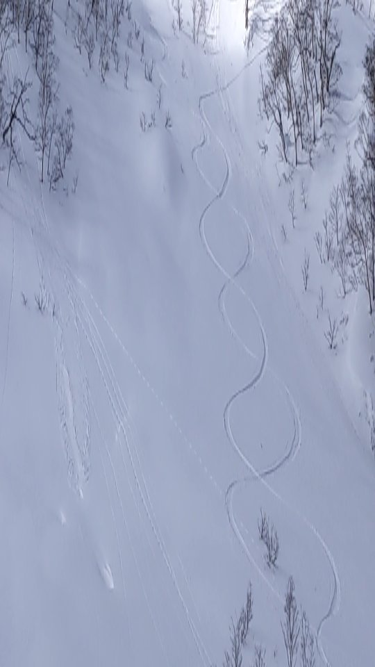 The gods gave their blessing of light as ruka stomped the big line at mitahara today. Very lucky to have deep, stable snow to take our guided guest Eric to one of our favourite places and one of myoko's best lines.
We encourage you to book guiding well in advance, as we've had many people miss out due to scheduling conflicts
All bookings @gozanlodge.myoko include buffet, gourmet European breakfast, 3 course dinner and onsen pass to our neighboring naena onsen 🙏😋
Get in contact via our site http://gozanlodge.jp or via DM
.
.
#gozanlodge #suginohara #sugi #akakura #snowboarding #skiing #japanbackcountry #myokokogen #japow #sekionsen #splitboarding #nozawa #madarao #lottearai #niseko #hakuba #myokobackcountry #nozawa #furano #杉ノ原スキー場 #妙高 #妙高高原 #雪山 #スノーボード #バックカントリー