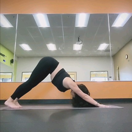 Dive deep enough so you can feel those cues that your body's calling for. Working on strength and mobility just rocking through the down dog 💜 Breathe and activate your core Yogi
#yogi #yoga #yogagirl #yogalesson #yogajourney #mobility #downwarddog #strength #yogaeveryday #life #lesson #wisdom #message #fitness #health #meditation #wellbeing #wellness #healthylifestyle #heal #stamina #balance #patience #motivation #selfawareness #mentalhealthawareness #moveyourbody