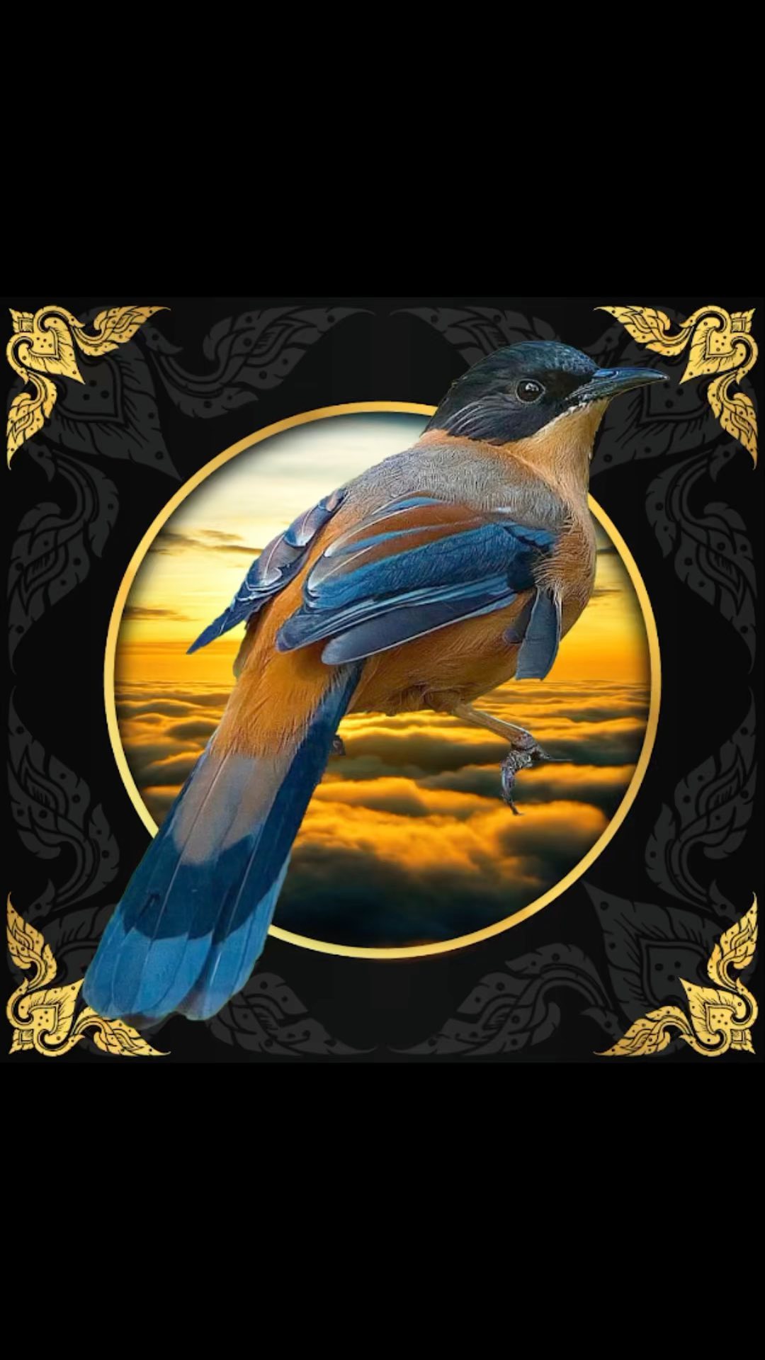 Birds and trees have a profound interdependent relationship. Trees provide food, housing, fiber and leaves for nest making, hide-outs to escape from predators, viewpoints to locate prey, rest stops during migration and branches for mating rituals and so much more. Birds in turn disperse seeds, eat up insects that might harm the tree, and deposit endless micro-dollops of fertilizer onto the forest floor with their nutrient rich bird poop. It’s a match made in heaven. Birds are one of the true delights of the animal kingdom and healthy forests depend on them as much as they depend on healthy forests. They are an essential part of the hyper-complex balancing act of life.
You can help increase bird habitat by switching your web browser to @Ecosia to plant trees for free while you search the web. Ecosia.org is the ‘search engine that plants trees’ by donating 80% of their advertising revenue to effective tree planting projects around the world with a focus on biodiversity hotspots.
Video art by @iMa_Nature_Art
Subscribe to @trilliontreescampaign for more inspiring nature content and to connect with easy ways to plant trees around the world.
#trilliontreescampaign #trilliontrees #reforestation #generationrestoration #natureart #naturemeditation #natureinspiredartist #naturearts #naturevideos #collageartists #collageartist #naturemeditation #natureartwork #collageartistsofinstagram #natureinspiredart #naturecollage #naturevideo #natureartist #natureart #naturearts #birdsofinstagram #birdstagrams #birdslovers #nature_brilliance_birds #birdstagrams #givebacktonature #nature_inspiration #naturelifeearth #naturelifeearth #mothernaturerocks