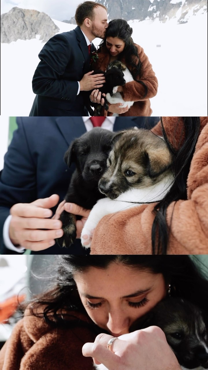 Puppies on a glacier.. doesn’t get much better!