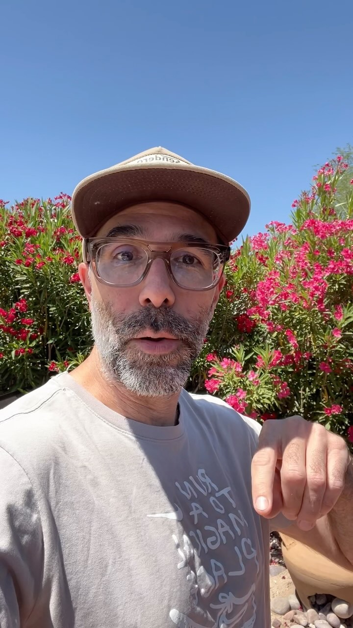 It’s getting hot 🥵 out! For that reason, we are going to be shutting down MTL Bagels for the Summer after one last bake this Friday!
Don’t worry, we are planning to be back in the Fall and will hopefully be able to serve even more of our #tucsonfoodie and #bagellovers !
Pre-order your bagels for pickup this Friday!
🔗 in bio and ⬇️
www.mtl-bagels.com