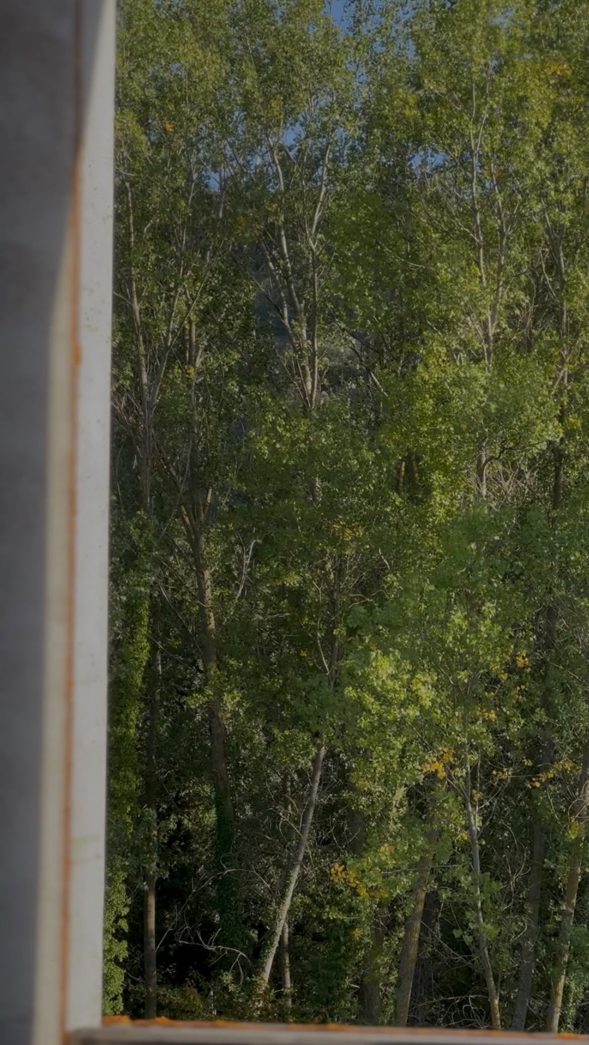 〰️Hola! Aquesta setmana vos portem un habitatge construït amb prefabricats de formigó. Aquesta tècnica ens permet un control del procés, una reducció dels residus en obra i una gran agilitzacó de la construcció. A més, en la realització dels prefabricats s’utilitzen materials reciclats.
🍃Tots aquests motius contribueixen a que aquesta tècnica siga més sostenible avui en dia.♻️
Tens algun dubte? T’escoltem 👷🏻♀️👷🏻♂️
#architecture #architecturelovers #architecturephotography #vicentedualdeviñeta #pepehernandezfernandez #carmecarbocortes #vas #virtuarchstudio #architecturalvisualization #construction #construccion #hormigonvisto #hormigon #concrete #concretedesign #prefabhouse #elsports #elsportsesautentic 🤍