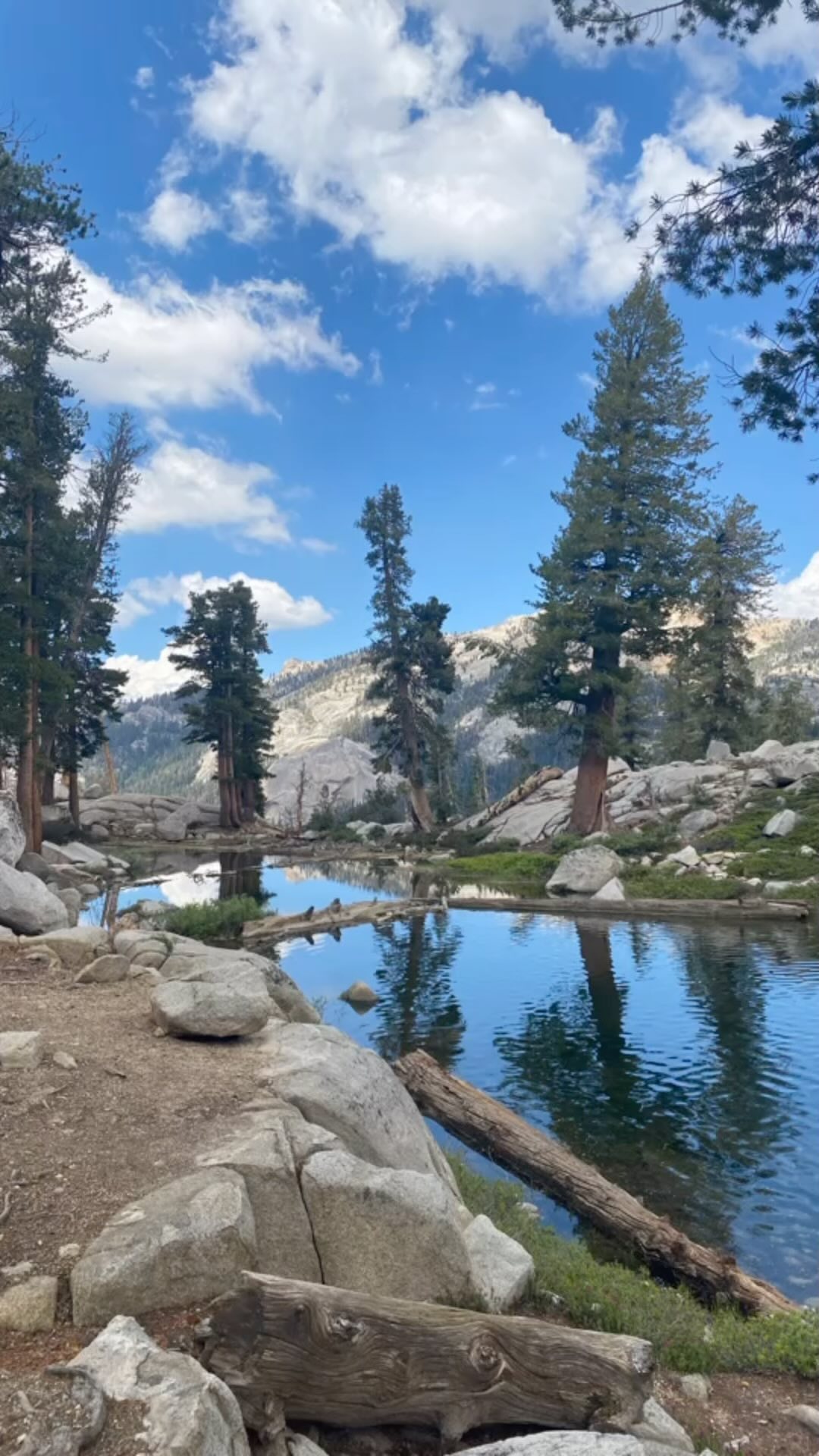 Late August 📍 Watchtower > Heather Lake;
Waterfalls still flowing, hummingbird moths & flowers abound, and the lake is a wonderfully refreshing reward. (Add on some miles and jump in two more lakes!) #blessed
#buckeyetreelodge #sequoianationalpark #sequoia#kingscanyonnationalpark #threeriversca #hike #findyourpark #optoutside #onepercentfortheplanet #ecolodge #ecotourism #mountainlodge #sustainabletravel #yogaretreat #yogastudio #wellness #visitseki #nationalparks #alpinelake