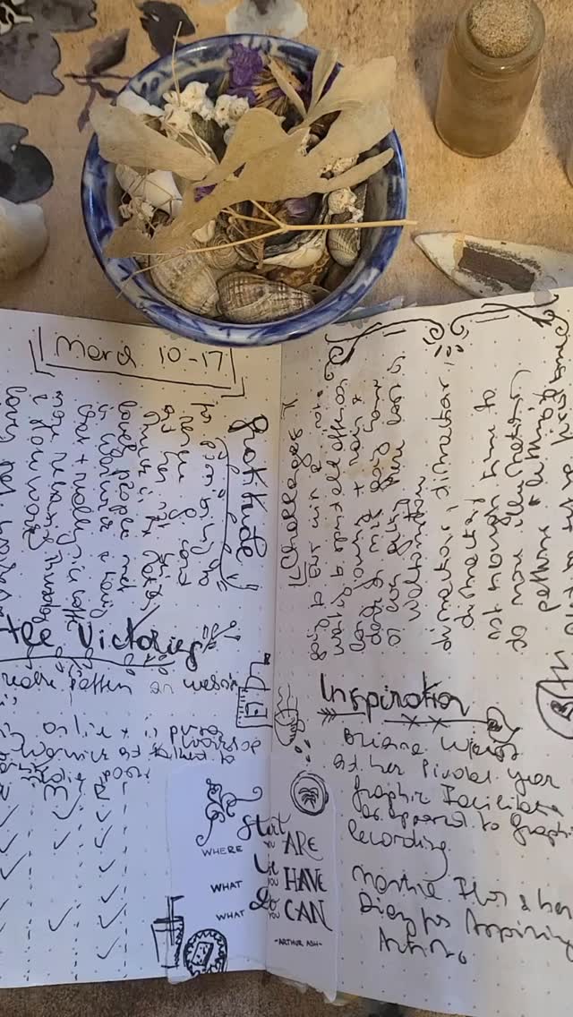 Flip through Wellbeing Journal
#journallover #gratitudeattitude #journalinghabit #journallinginspiration