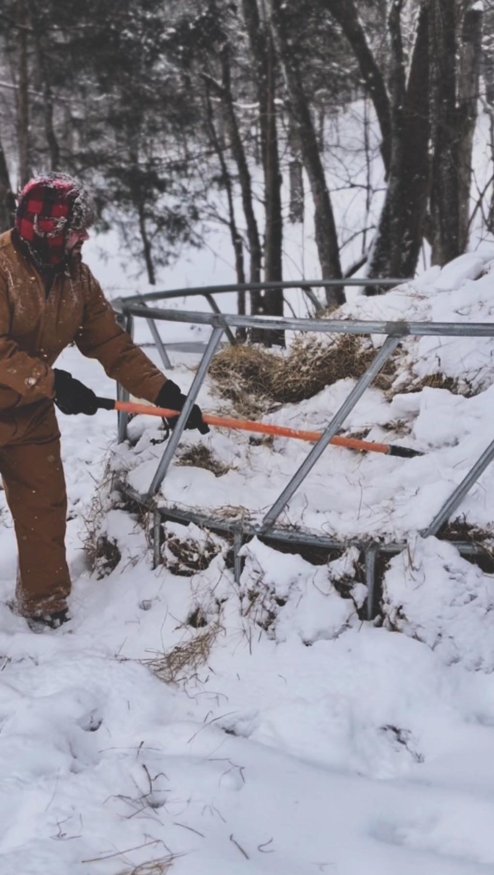 We work even in the snow!!!
#lasaterhomestead #cows #bull #hereford #calf #snow #farm #ranch #christianlife #workinghard #january #cowboy
