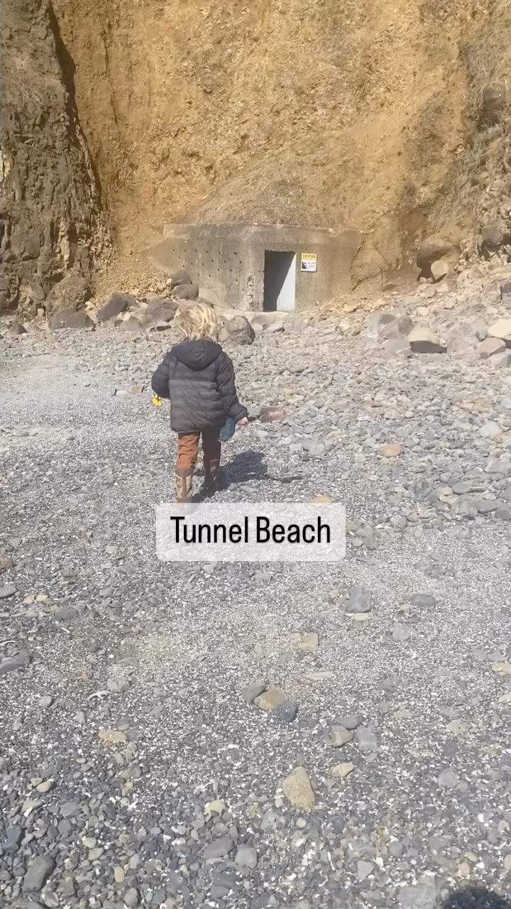 📍 Tunnel Beach
Learning Topics: oceans, tidepools, agates
Risks: rip tides, slippery and rocky path
Description: Access Tunnel Beach by parking in the Oceanside Beach State Recreation Site Parking lot and walk North towards the large basalt cliff formation. You will see a rectangular cutout in the rock. If you have a flashlight, it is helpful for navigating the manmade tunnel, but it is not necessary. The last section of the tunnel is rocky and may have some water. Light from the other end is visible very quickly. At low tide this is a great place to find agates!
Check out www.wildandbarefootadventures.com is the full write up with details for this adventure!
#wildandbarefootadventures #tunnelbeach #oceansideoregon #oregoncoast #agates #seekadventure #getoutside #dohardthings #explore #wonder #wander #wildflowers #exploreoregon #columbiarivergorge #familyfriendlyhikes #hikingwithkids #placebasedlearning #outdoorclassroom