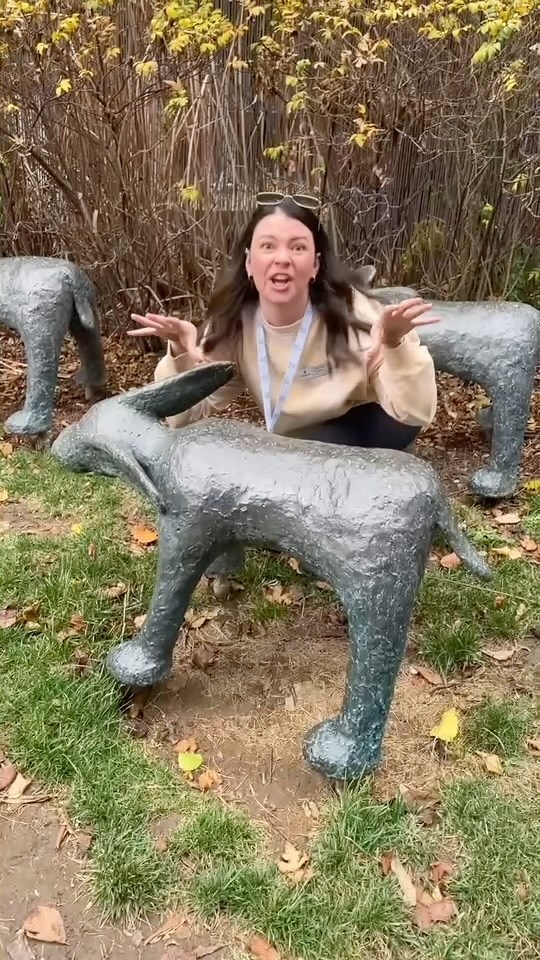 This team knocked it out of the park when challenged to create a video to explain these strange looking creatures found in downtown Toronto. Maximum points for creativity, passion and Steve Irwin style! #torontoteambuilding #teambuilding