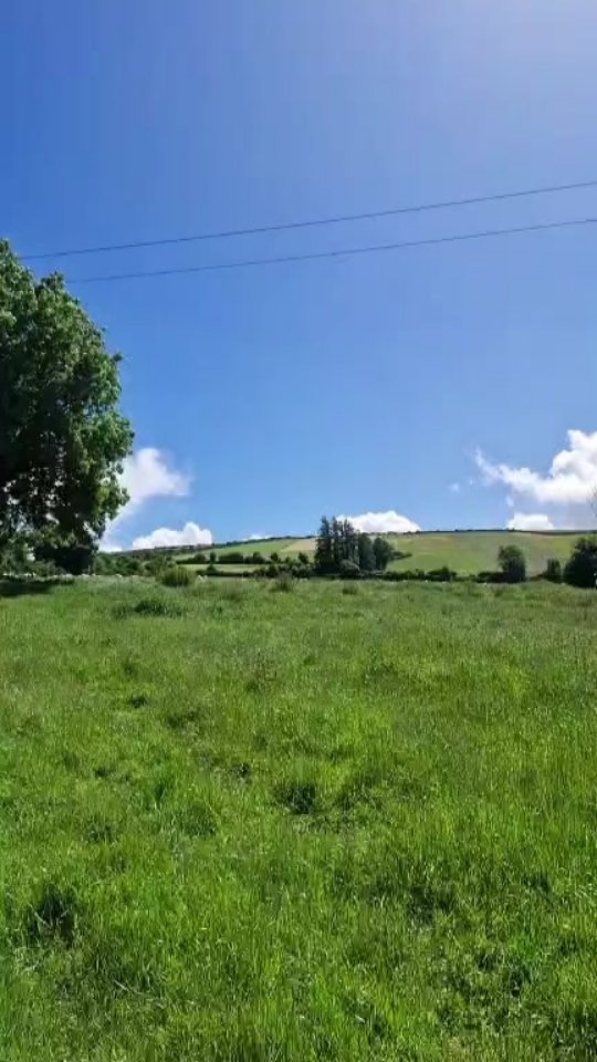 Update from This Morning
#alpacaworld #alpacalife #alpacasofireland #farmingireland #farmingIreland #farming365