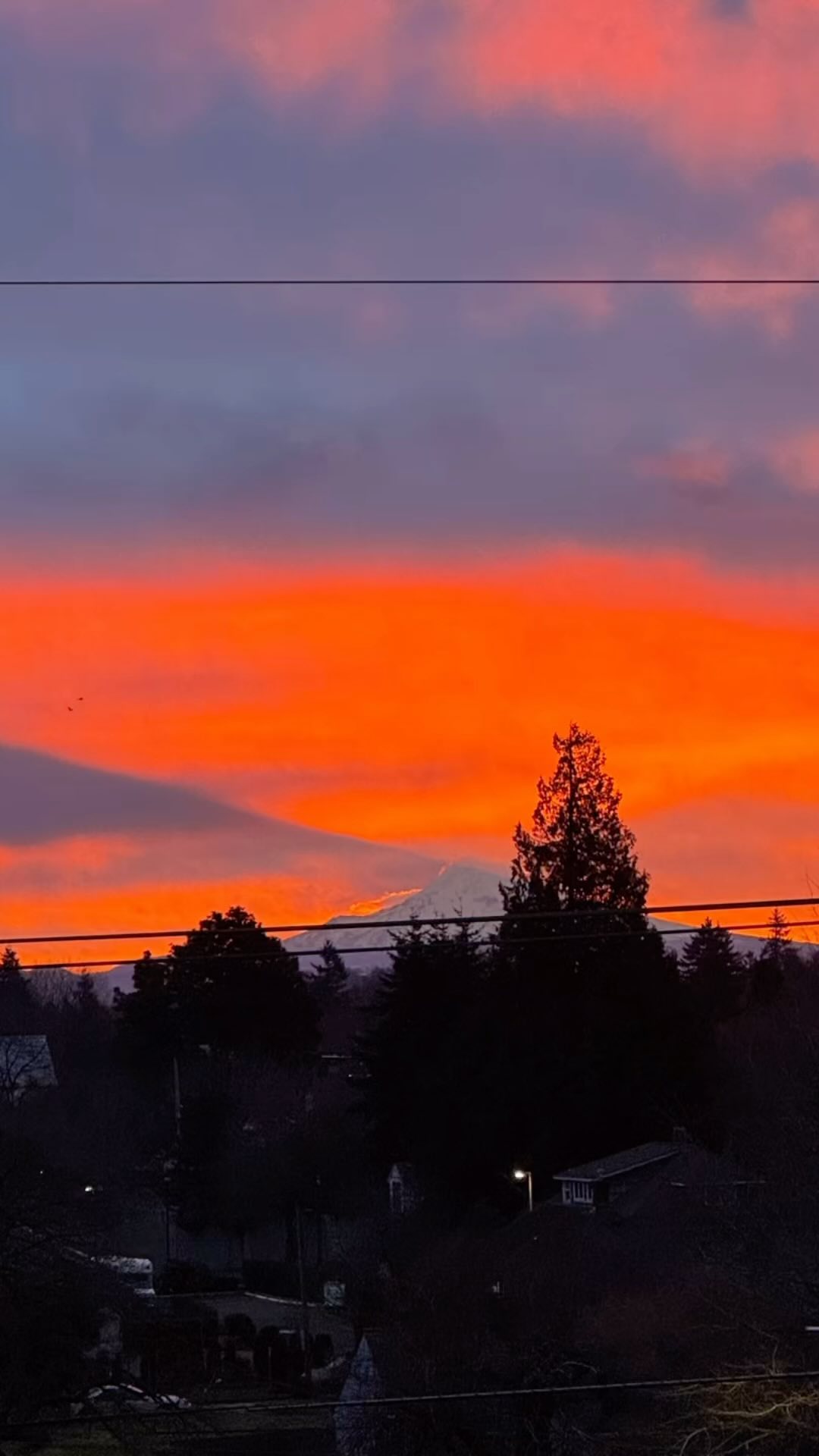 Yep, that’s Mt. Hood casting its shadow up😁 Only lasted about 15 minutes, but spectacular!
Hope everyone has a #spectacular day👍
.
.
.
.
.
#graphicdesign #graphicdesigner #graphicarts #logo #logodesigner #logoartist #logoartwork #designer #design #creative #creativelifehappylife #creativedesigner #creativeart #freelance #creativelife #upsidedownshadow #freelancelife #relaxitsfun #couldform #rareclouds #mountainbeauty #mountainshadow