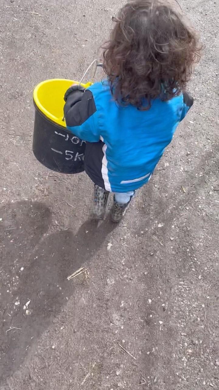 Polly gaat één dezer dagen lammeren en moet op stal. Beschut en warm, geen wind en regen. En Sissi moet mee, want schapen hebben maatjes en zonder hun gezelschap ervaren ze stress. Kan ze misschien een beetje de doula uithangen 😁🐑
Onze schapen staan alleen maar buiten en vinden het maar niks om op stal te moeten. Het was dus ook een heel karwei om de dames naar binnen te krijgen (in onze garage, de auto staat maar even een tijdje buiten).
#lammetjes #boerenleven #lammetjesknuffelen #kidsproof #staycation #overnachtenbijdeboer #natuurhuisje