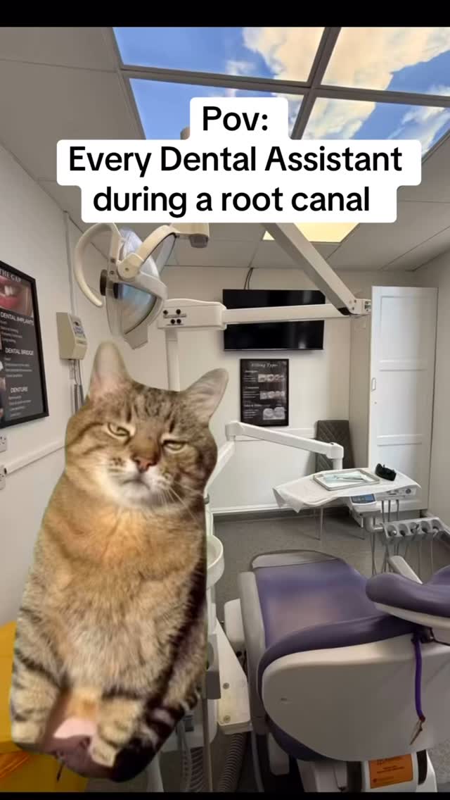 Dental nurse during root canal treatment 👉🏼 Part-time suction ninja, full-time mind reader😆
Mostly calm—until the cleaning starts and it’s suddenly a splash zone🙈😹
#dentistry #dentist #dentistlondon #dentalassistants #dentalnurse #dentalclinic #teethcare #teethgoals #rootcanal #rootcanaltreatment #funnyvideos #funnydentist #fyp #funnyréels #trendingréels #foryour