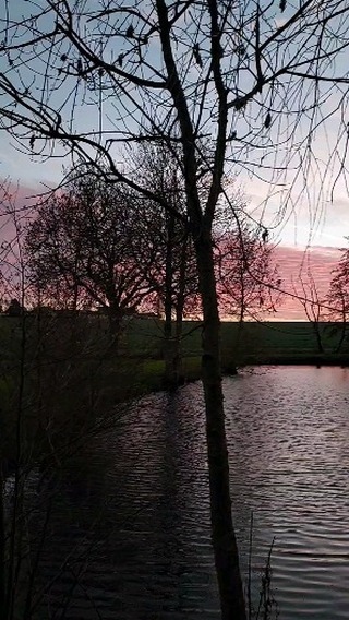 Joyeuse fin d'année
Lumineuse
Et pleine d'amour
💕