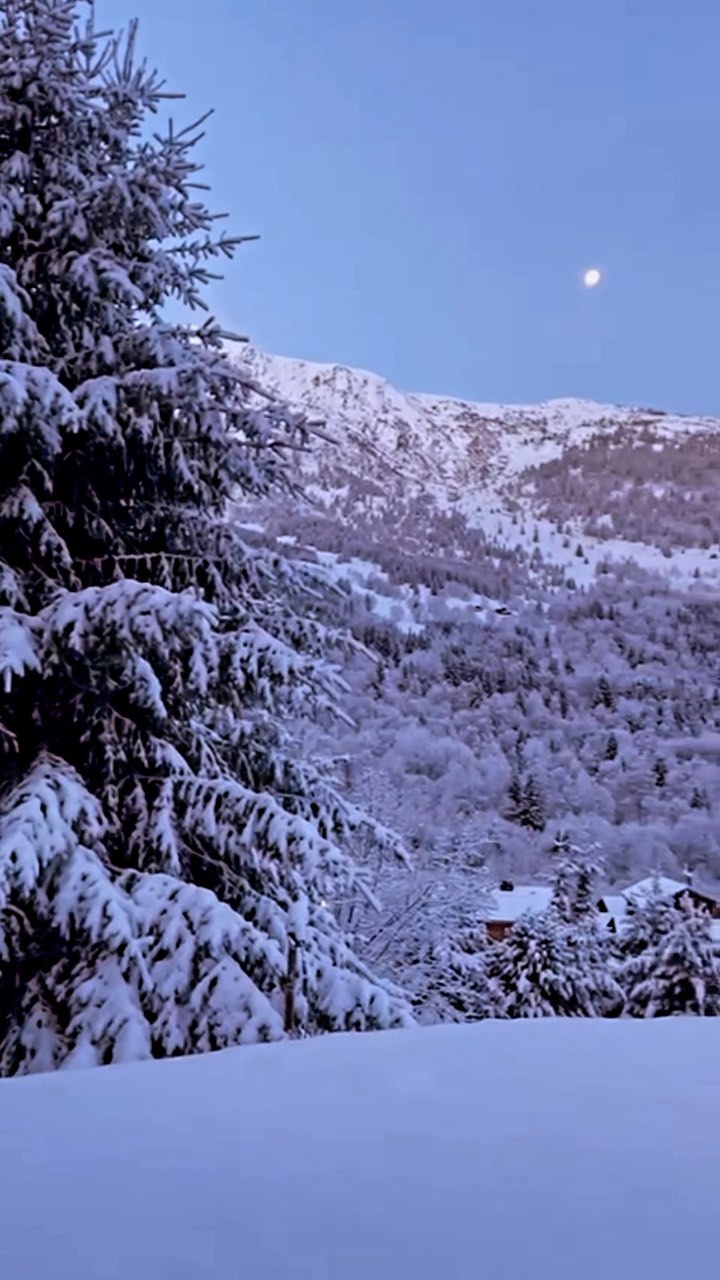 The snow is here to stay 😍