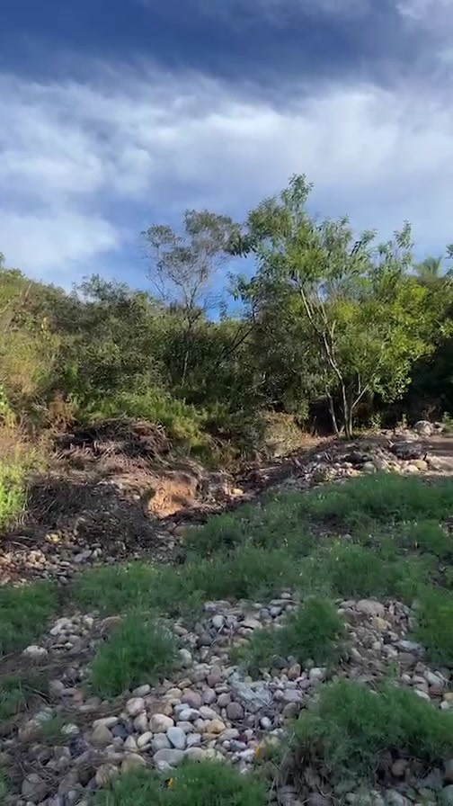 Live with Lee! Thanks to everyone who tuned in for our happy hour garden chat - we just love the Willowy Mint!! ๐ ๐ฑ keep your eyes peeled for our next one coming in October! ๐