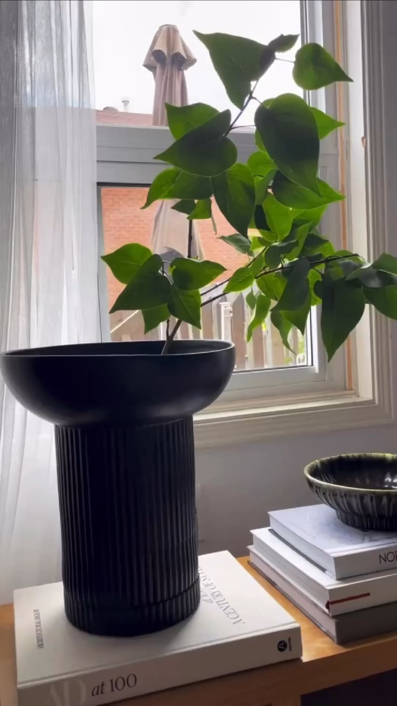 With spring finally here, it’s time to open the windows and bring the outdoors in. Add fresh flowers to bring in colour or add some greenery or floral branches for some visual height.
Styling tip- When using a tall vessel or vase, fill with water a smaller vase that can fit inside that way you won’t damage the original vase.
Styling with greenery will add simple beauty to any space!
#florals #stylingwithbranches #nature #texture #spring #styling #stylingmyhome #homeinspo #torontostylist #interiorinspiration #homedecor #interiordesigncontent #interiorinspo #interiors #interiordesign #interiorstyling