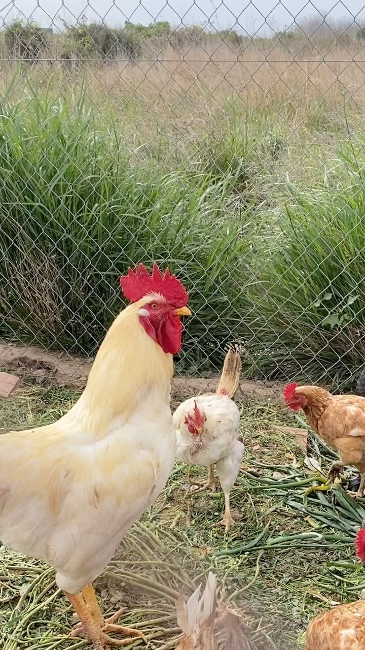 Nada se pierde, todo se transforma.✨. En Che Terreta entendemos la naturaleza como un círculo continuo, donde todo sirve a algo y ese algo aporta beneficios a lo vendrá, y nada es desecho, todo vuelve a la tierra para volver a brotar ✨