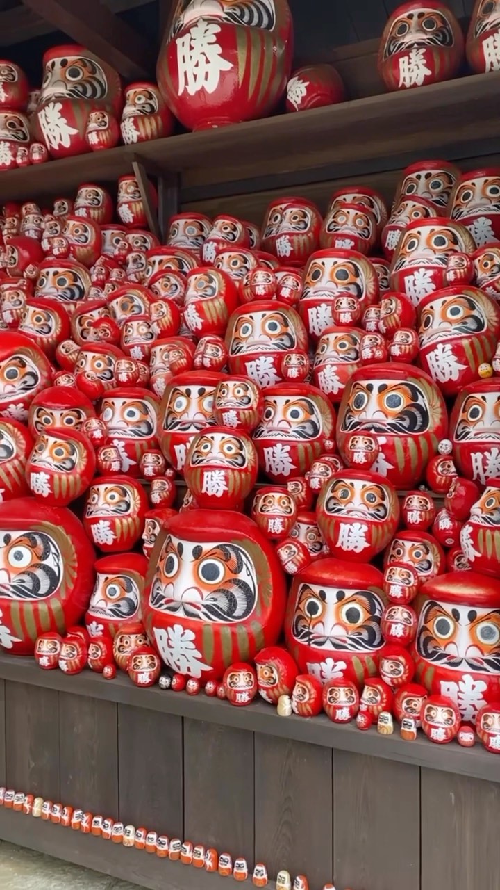 Katsuo-ji Temple is filled with character – picture panoramic views, a mist-covered bridge over koi fish ponds and a vermilion pagoda. 👺
.
It’s literally covered in Daruma dolls, Japan’s recognizable symbol of good luck. Located north of Osaka City in the forested region of Mino, it is a charming getaway from the buzz of the city’s urban sprawl.
.
Known as the “temple for winner’s luck” and the “temple that wins against monarchs,” prayers made here have healed emperors and assisted shoguns to gain many conquests.
.
.
胜尾寺是坐落在箕面山顶上的一座千古古刹,建筑古朴,周边春可赏山樱,秋可看遍山红叶,这样的环境渲染,更给胜尾寺增添了许多清幽神秘之感。
.
胜尾寺,原名为“勝王寺”,后因为日语中“王”于“尾”是谐音,勝尾寺的称呼逐渐流行起来。很多人来这里求“胜利”之运。同时这里也是观赏枫叶的名所。🍂
.
胜尾寺拥有“胜运之寺”的赞誉,如今寺庙中仍有德高望重的高僧静坐诵经,神情肃穆。想要祈求好运的人可以在这里拜一拜,但切不可打扰他们。👺
.
.
.
#japanguide #triptojapan #travelinjapan #visitjapanjp #visjtmyjapan #jntosg #visitjapanphillipplines #jntoid #visitjapanAU #japanrevealed #travelgraphy #travelgram #traveling #trending #japanese #instagram #osaka #Katsuoji #Katsuojitemple #visitosaka #privatetour