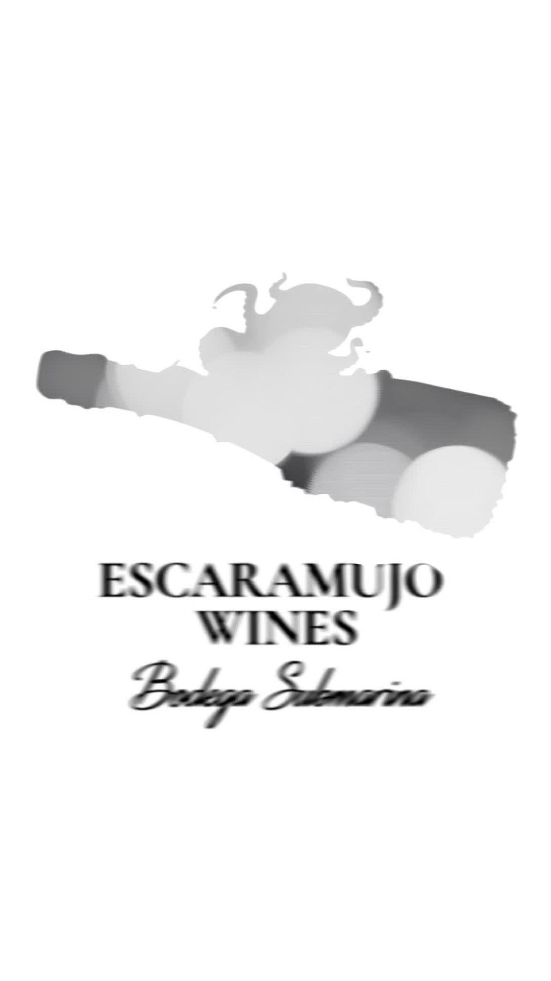 The most romantic wine in the world ages beneath the sea… Would you taste it with your special someone?
.
.
.
#valentinesday #wine #winelover #perfectgift #underwaterwine #thebestgift #love #escaramujowines