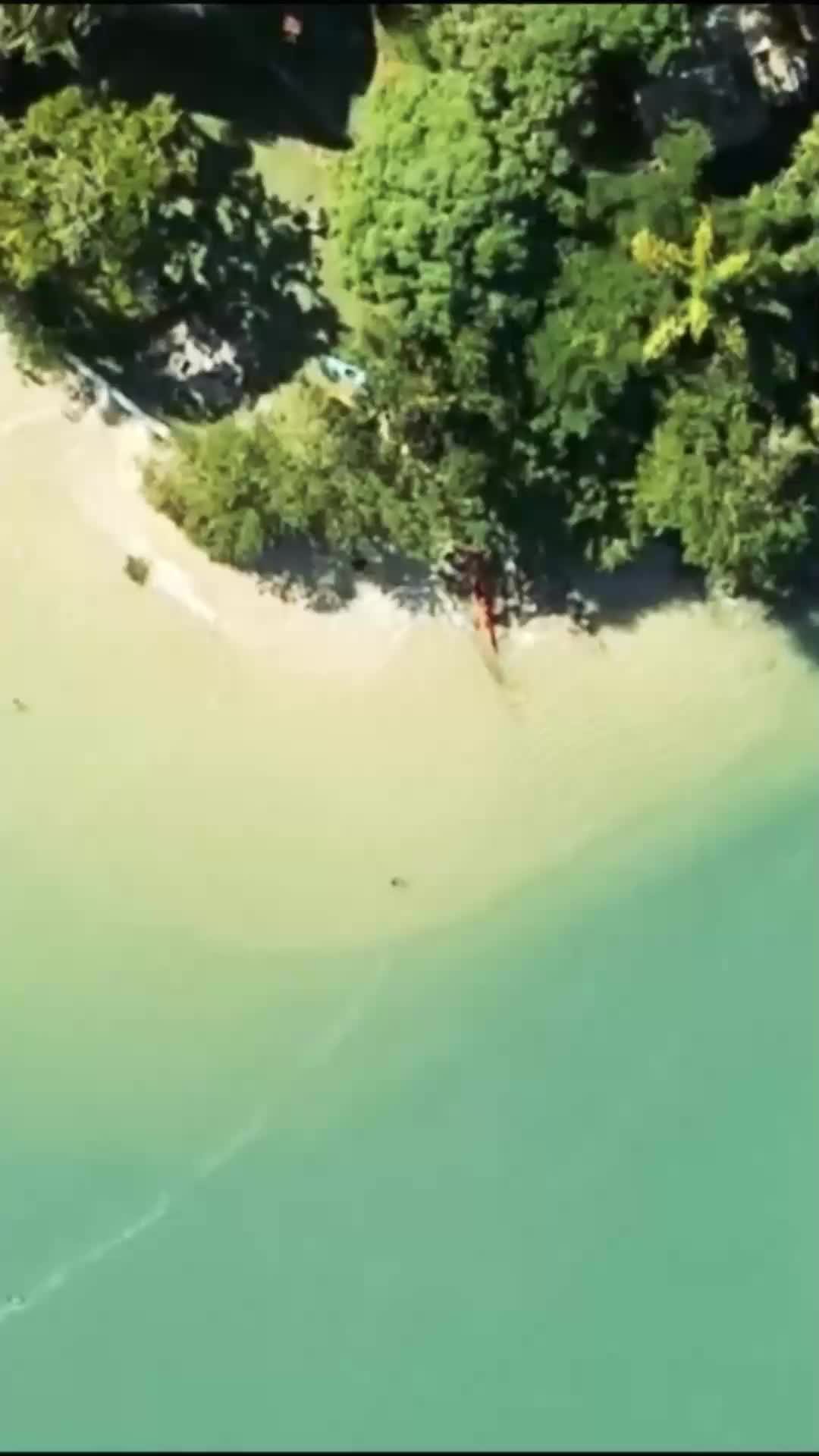 Conhecer Paraty, sua Natureza, Cultura e Saberes.
Viver os sentidos; Cheiros, Sons, Sabores e belos cenários para guardar na memória!
#Paraty #passeios #natureza #Turismo #photography
#traveling #viagensimperdiveis
#viagensincriveis
#viagenspelomundo
#viagensnobrasil
#viagensetrilhas
#travelers
#travelislife
#viajar