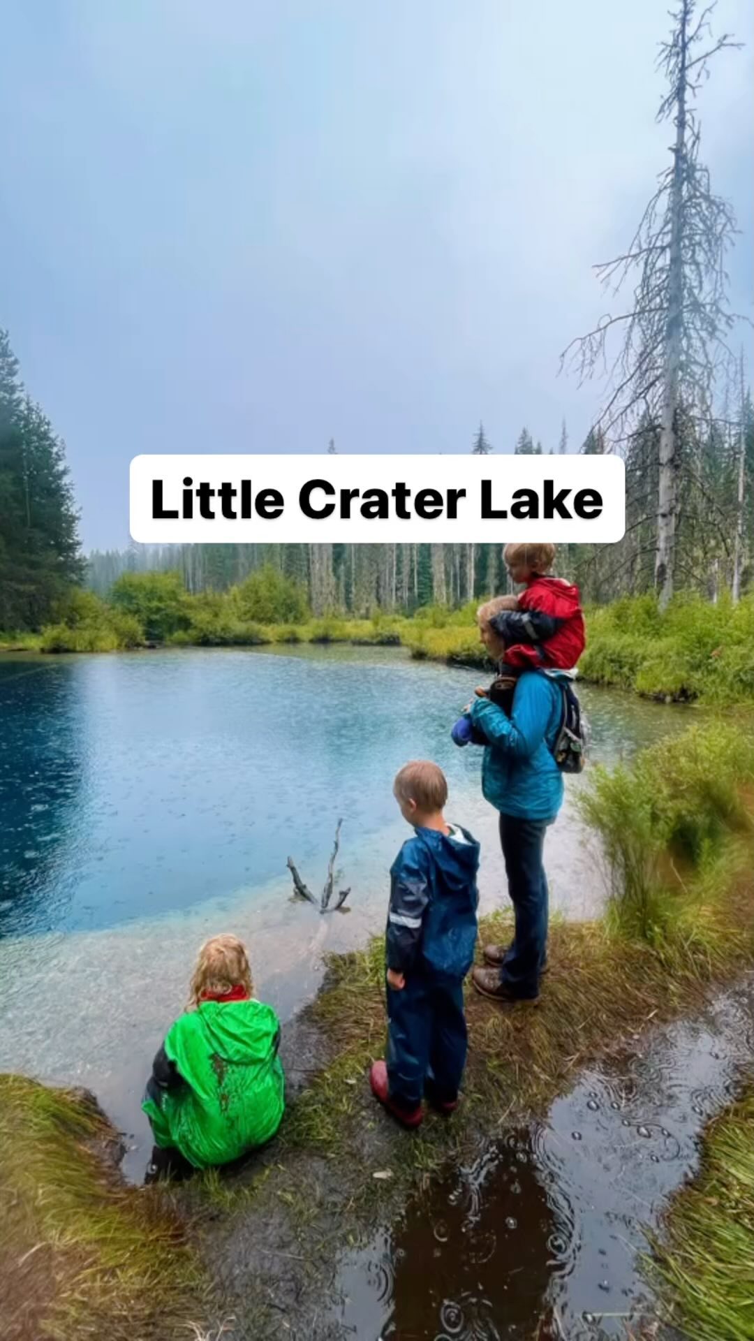 📍 Little Crater Lake
Learning Topics: Geology, Old Growth Forests
Risks: very cold and deep water
This brilliantly blue little lake in the Mount Hood National Forest is named after the famous Crater Lake in Southern Oregon.
Little Crater Lake is a geological oddity. A long time ago, there was a meadow in this place. A shift along underground fault lines caused water to bubble up to the surface and form an artesian spring.
The water is barely above freezing so swimming is not allowed. Little Crater Lake is 45 feet deep! The water is so clear you can see submerged trees many feet below the surface.
The hike to the lake is only 250 feet from the parking lot. We recommend you extend your hike bf hiking part of the Pacific Coast Trail to Timothy Lake!
Want more details and links to other fantastic hikes? Check out our website.
This is also Hike #18 in @littlefeethiking Mount Hood !
#wildandbarefootadventures #littlecraterlake #hikingwithkids #exploreoregon #mounthoodwilderness #outdoorclassroom #rainyday #hikeintherain #outdoorkids #adventure #travel #adventurefamily #hikingoregon #oregonexplored #homeschoolmom #optoutside #outdooradventures #1000hoursoutside