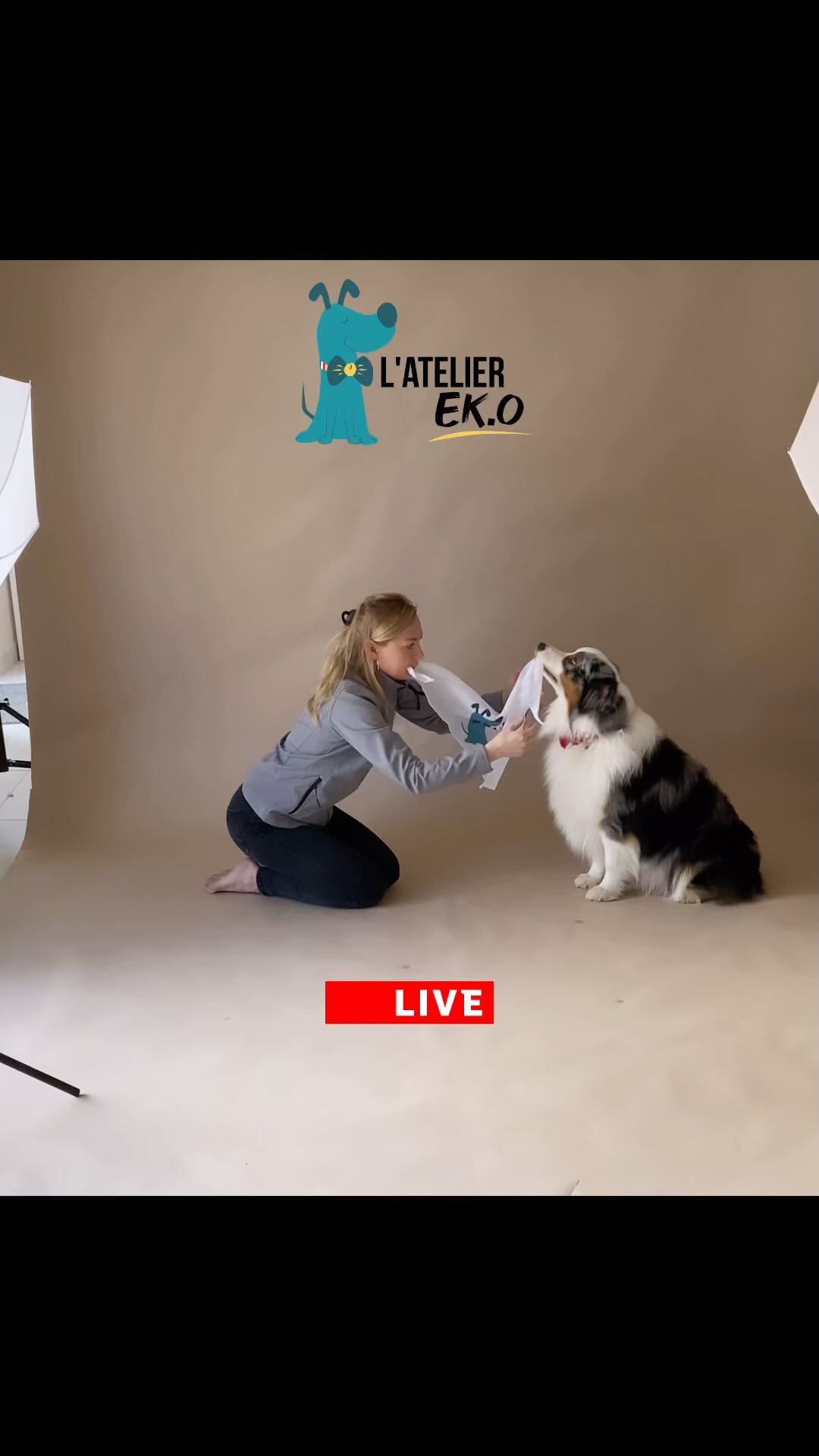 On vous souhaite une superbe soirée ! Notre journée shooting était merveilleuse 🤣 merci à Amandine et tous les toutous du jour et leurs parents 🫶
#live #shooting #lateliereko #shootingchien #dogshooting #photoshoot #goodvibes #doglovers #dogmumdogoftheday #bestdogever #happydog #bergeraustralien #entrepreneurlife #artisanat #paysdelaloire #bretagne #photostudio