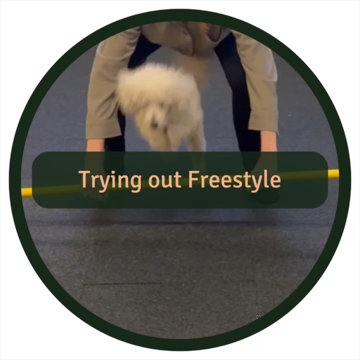🎵🐾 Just wrapped up “Tematräff - Prova på Freestyle” at @karmahundcenter 🐶🎶
Starting from scratch with Freestyle was truly a test for us, yet we managed to pick up some new skills, enhance our teamwork, improved our communication, and the best part - we had a lot of fun 🥰
Massive thanks to Anahita at @karmahundcenter for all the great tips and support 😍
Highly recommend trying this with your dog 🐩💃