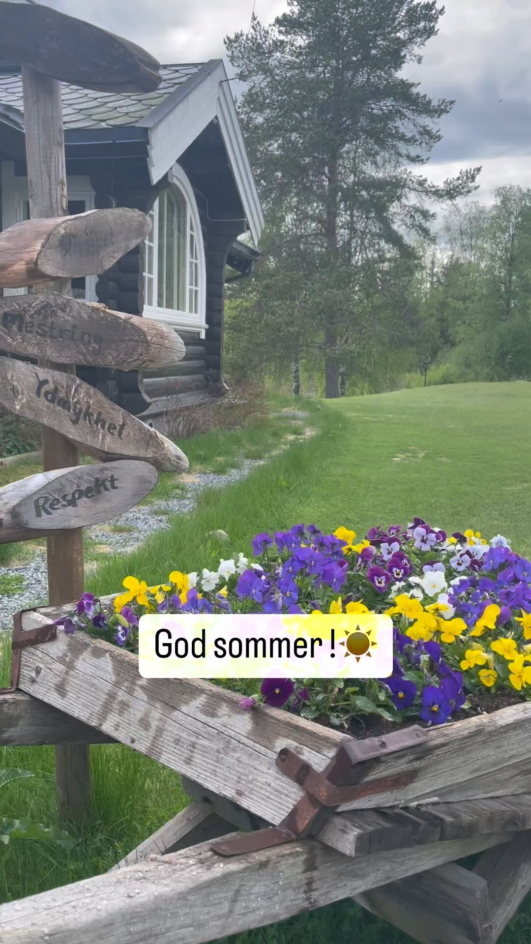 God Sommer fra Viveo Omsorg ! ☀️🍃🌿| www.viveo.no #summer #norway #health #strong #honest #love