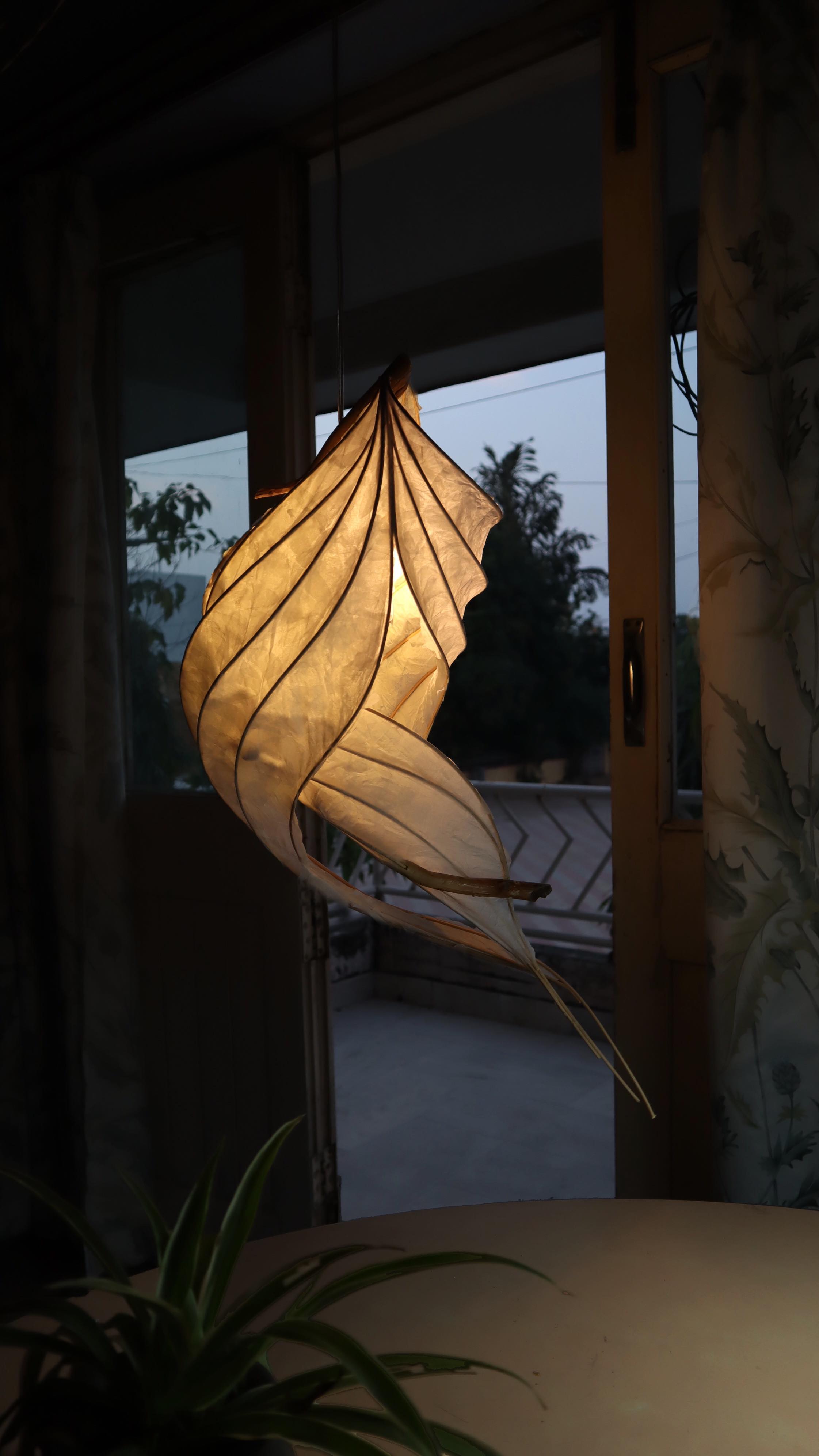 We only have one wish for this Christmas.
"May your life lights up with so much positivity and exuberance that you never need to wish for anything again!" 🤗
#MerryChristmas 🎄 from #zeearlife
#zeear #christmas2021 #sustainablelights #christmaslights