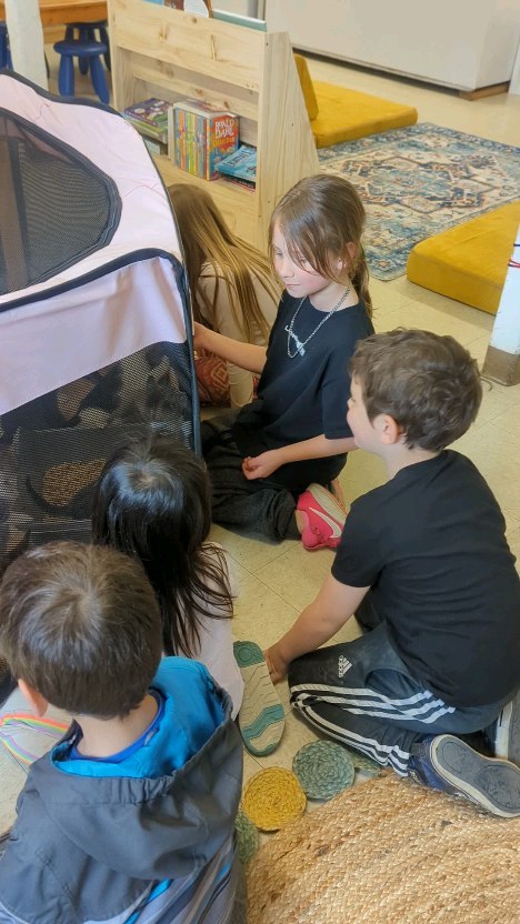 A BIG THANK YOU to Elissa Bailey from the Victoria Humane Society who brought out her 13 foster kittens to visit!
As a part of our March Community Project PHC gathered supplies for these tiny little rescues and donated them to Victoria Humane Society. Today we got to meet all the little lives we helped. What an amazing experience! 🩵🐾